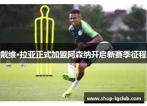 戴维·拉亚正式加盟阿森纳开启新赛季征程