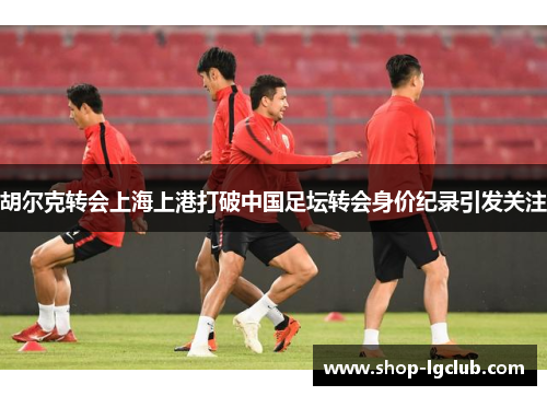 胡尔克转会上海上港打破中国足坛转会身价纪录引发关注