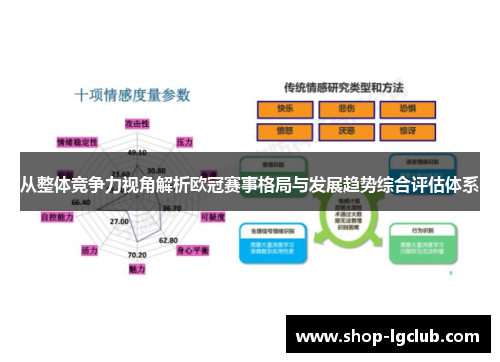 从整体竞争力视角解析欧冠赛事格局与发展趋势综合评估体系